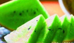 56吃瓜网,揭秘娱乐圈最新热点，带你领略明星幕后故事